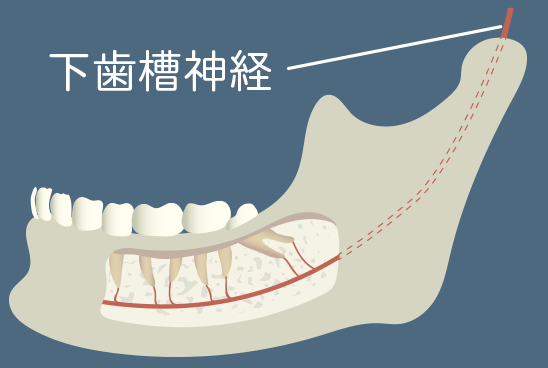 歯科口腔外科 日本橋中央通り歯科室
